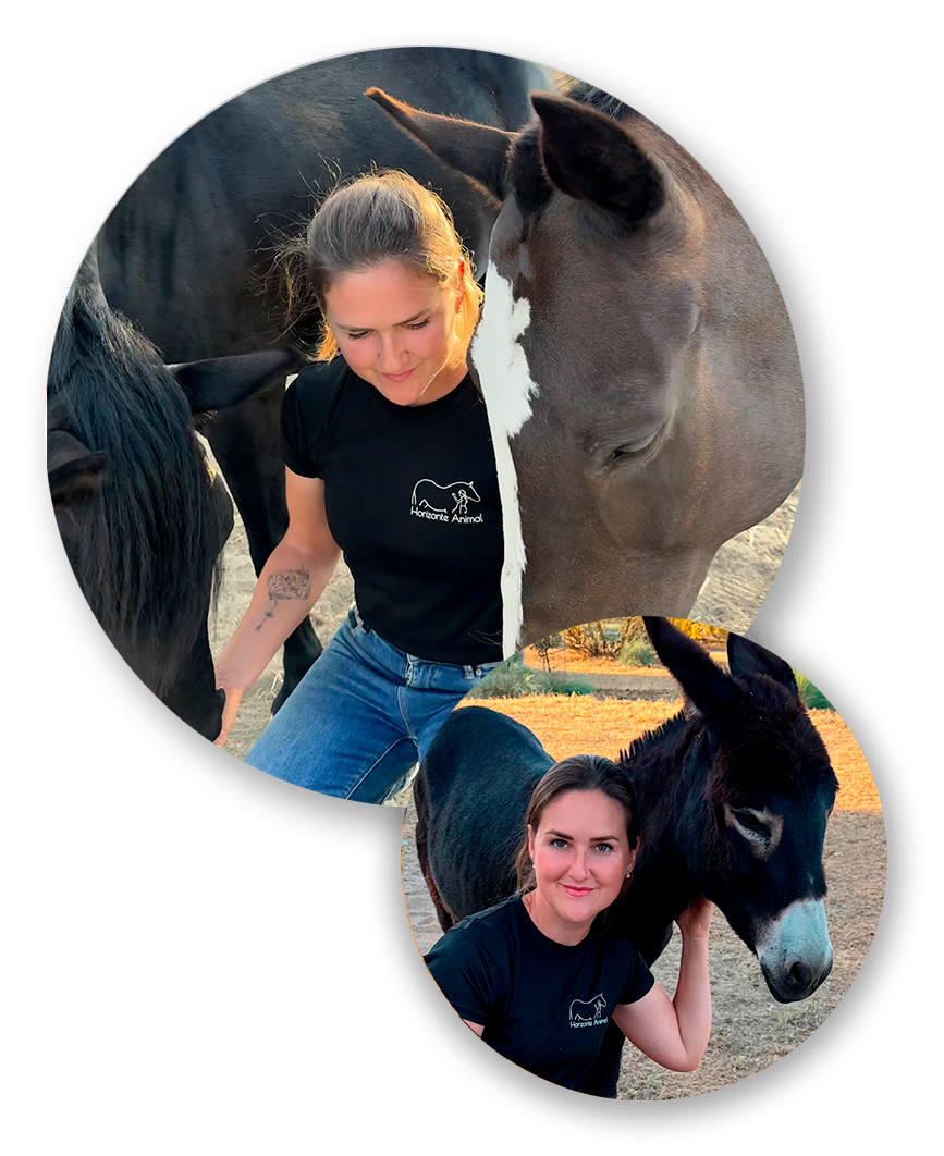 Voluntaria de Horizonte Animal acariciando a un caballo rescatado en el santuario de Navalagamella