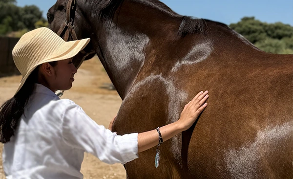 Imagen de Experiencias con caballos personalizada en Madrid