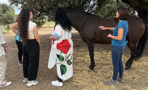 Imagen de caballos en Madrid
