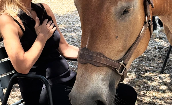 Imagen de Fotografías Profesionales con Caballos